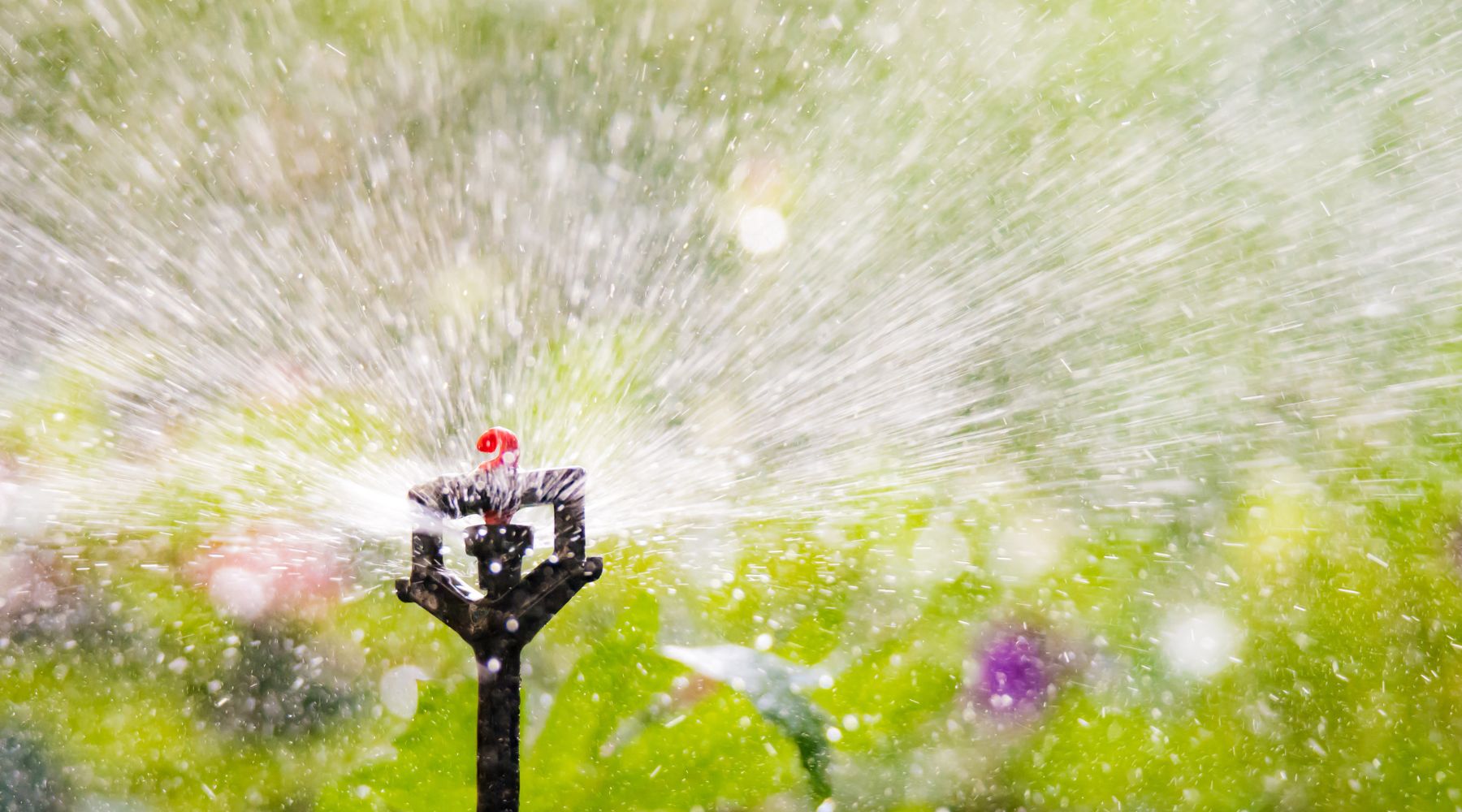 sistema de irrigação por micro aspersão