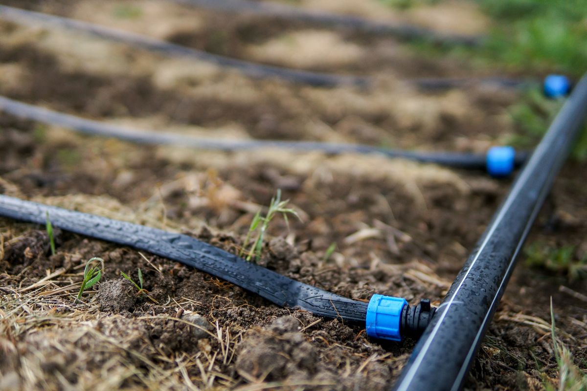 Irrigação por Gotejamento: Como Obter um Uso Eficiente da Água e Maximizar a Produtividade